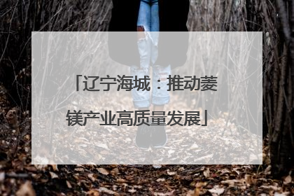 辽宁海城：推动菱镁产业高质量发展