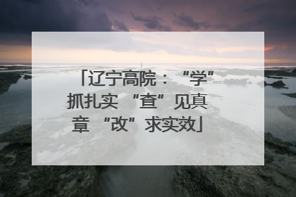 辽宁高院：“学”抓扎实 “查”见真章 “改”求实效