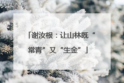谢汝根：让山林既“常青”又“生金”