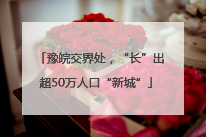豫皖交界处，“长”出超50万人口“新城”