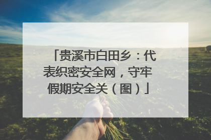 贵溪市白田乡：代表织密安全网，守牢假期安全关（图）