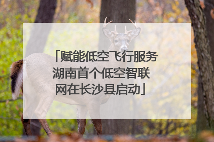 赋能低空飞行服务 湖南首个低空智联网在长沙县启动
