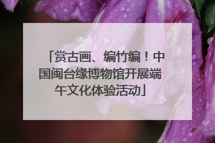 赏古画、编竹编！中国闽台缘博物馆开展端午文化体验活动