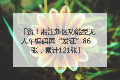 赞！湘江新区功能型无人车编码再“发证”86张，累计121张