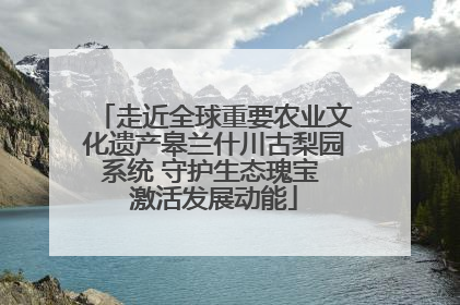 走近全球重要农业文化遗产皋兰什川古梨园系统 守护生态瑰宝 激活发展动能