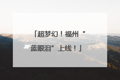 超梦幻！福州“蓝眼泪”上线！