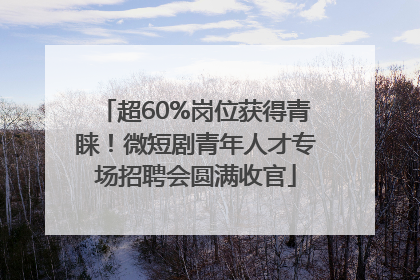 超60%岗位获得青睐！微短剧青年人才专场招聘会圆满收官