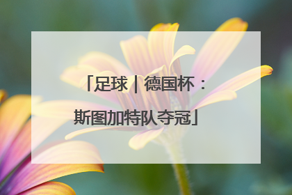 足球｜德国杯：斯图加特队夺冠