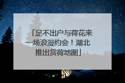 足不出户与荷花来一场浪漫约会！湖北推出赏荷地图