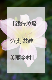 践行垃圾分类 共建美丽乡村