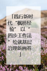 践行新时代“枫桥经验” 以“四步工作法”绘就基层治理新画卷