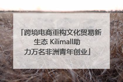 跨境电商重构文化贸易新生态 Kilimall助力万名非洲青年创业