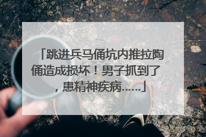 跳进兵马俑坑内推拉陶俑造成损坏！男子抓到了，患精神疾病……