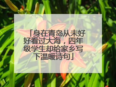 身在青岛从未好好看过大海，四年级学生却给家乡写下温暖诗句