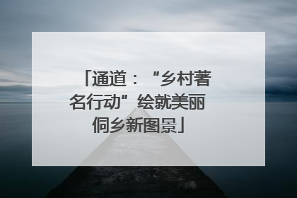 通道：“乡村著名行动”绘就美丽侗乡新图景
