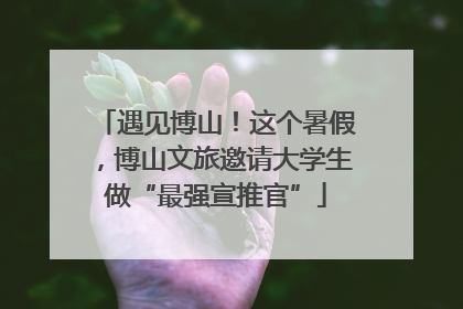 遇见博山！这个暑假，博山文旅邀请大学生做“最强宣推官”