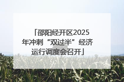 邵阳经开区2025年冲刺“双过半”经济运行调度会召开