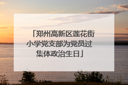 郑州高新区莲花街小学党支部为党员过集体政治生日