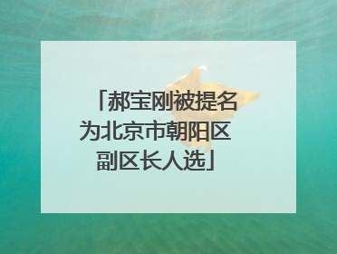 郝宝刚被提名为北京市朝阳区副区长人选