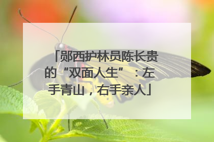 郧西护林员陈长贵的“双面人生”：左手青山，右手亲人