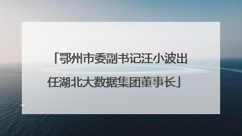 鄂州市委副书记汪小波出任湖北大数据集团董事长