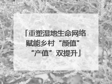 重塑湿地生命网络 赋能乡村“颜值”“产值”双提升