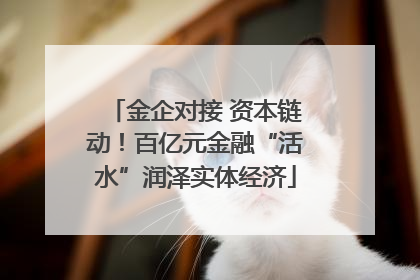 金企对接 资本链动！百亿元金融“活水”润泽实体经济