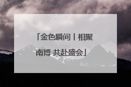 金色瞬间丨相聚南博 共赴盛会