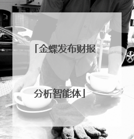 金蝶发布财报分析智能体