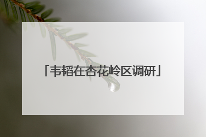 韦韬在杏花岭区调研