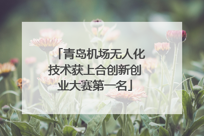 青岛机场无人化技术获上合创新创业大赛第一名