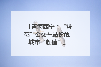 青海西宁：“簪花”公交车站扮靓城市“颜值”
