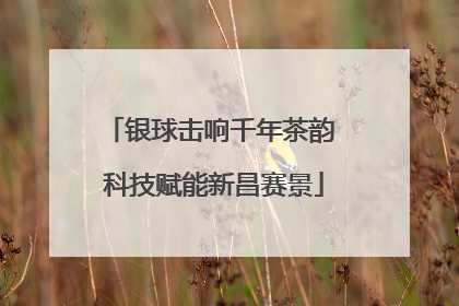 银球击响千年茶韵 科技赋能新昌赛景
