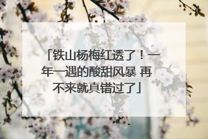 铁山杨梅红透了！一年一遇的酸甜风暴 再不来就真错过了