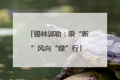 锡林郭勒：乘“新”风向“绿”行