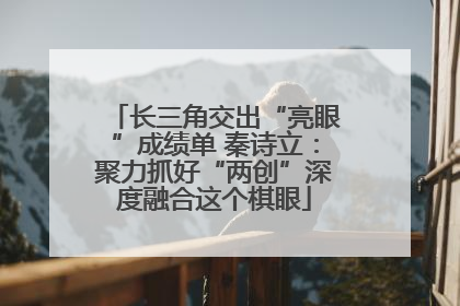长三角交出“亮眼”成绩单 秦诗立：聚力抓好“两创”深度融合这个棋眼
