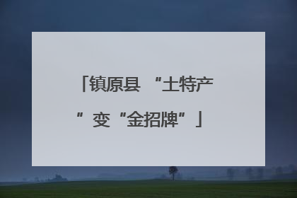 镇原县 “土特产”变“金招牌”