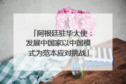 阿根廷驻华大使：发展中国家以中国模式为范本应对挑战
