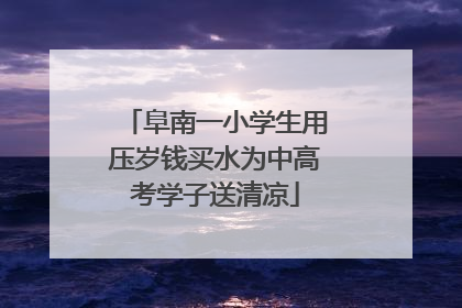 阜南一小学生用压岁钱买水为中高考学子送清凉