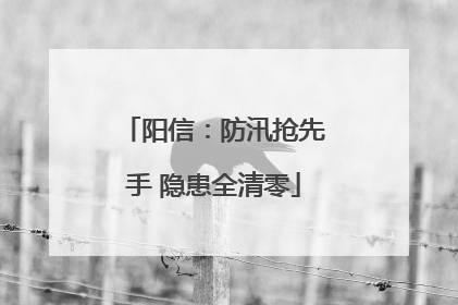 阳信：防汛抢先手 隐患全清零