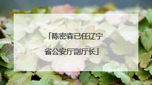 陈密森已任辽宁省公安厅副厅长