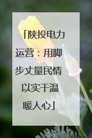陕投电力运营：用脚步丈量民情 以实干温暖人心