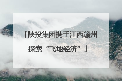 陕投集团携手江西赣州 探索“飞地经济”