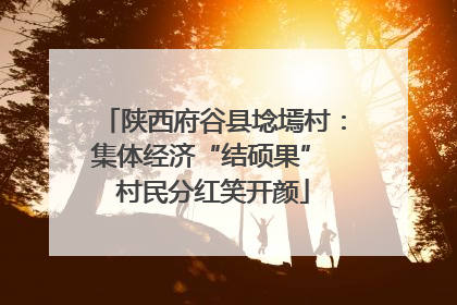 陕西府谷县埝墕村：集体经济“结硕果” 村民分红笑开颜