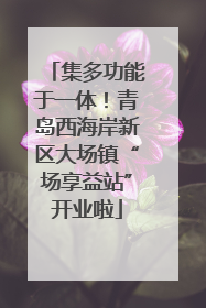 集多功能于一体！青岛西海岸新区大场镇“场享益站”开业啦