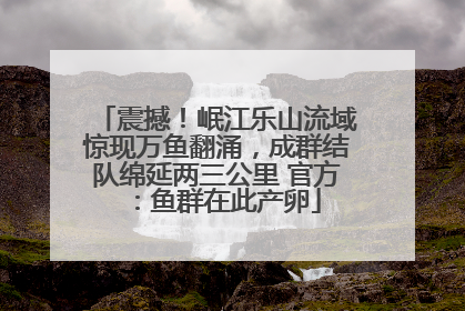 震撼！岷江乐山流域惊现万鱼翻涌，成群结队绵延两三公里 官方：鱼群在此产卵