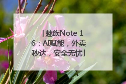 魅族Note 16：AI赋能，外卖秒达，安全无忧