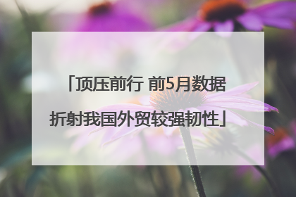 顶压前行 前5月数据折射我国外贸较强韧性