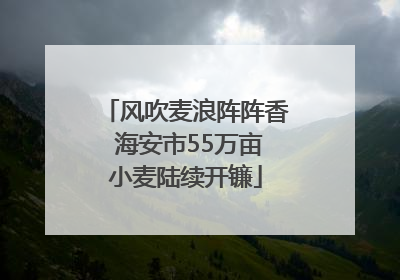 风吹麦浪阵阵香 海安市55万亩小麦陆续开镰