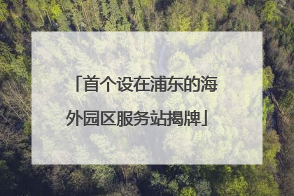 首个设在浦东的海外园区服务站揭牌